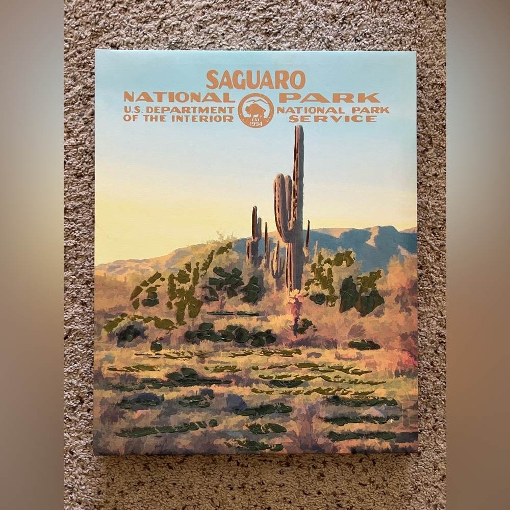 Saguaro National Park Canvas Picture Art